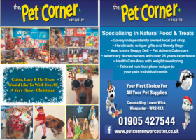 Sweetpea Pets Ltd Advert