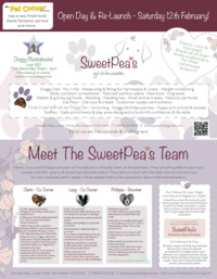 Sweetpea Pets Ltd Advert