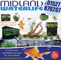 Midland Water Life Advert