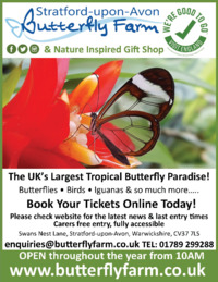 Stratford Butterfly Farm Ltd Advert
