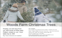 Woods Farm Xmas Trees Advert