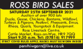 Penrhiwgarn Poultry Supples & Ross Bird Advert