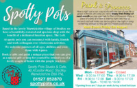 Spotty Pots Ltd Advert